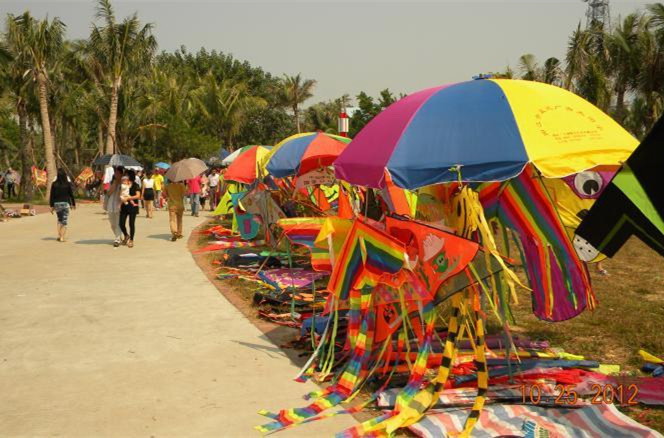 阳江风筝节